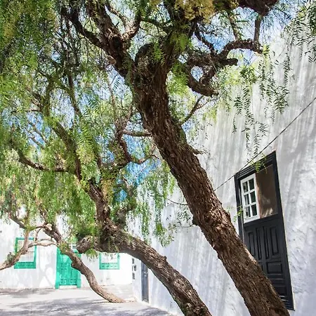 Guanapay En El Centro De Nyaraló