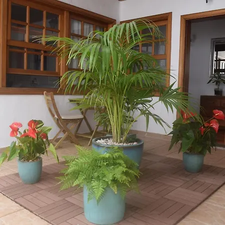 Guanapay En El Centro De