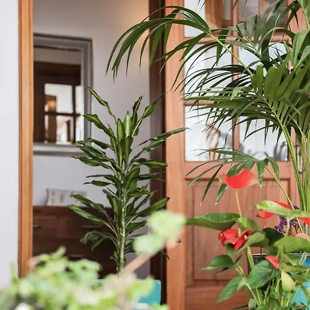 Guanapay En El Centro De